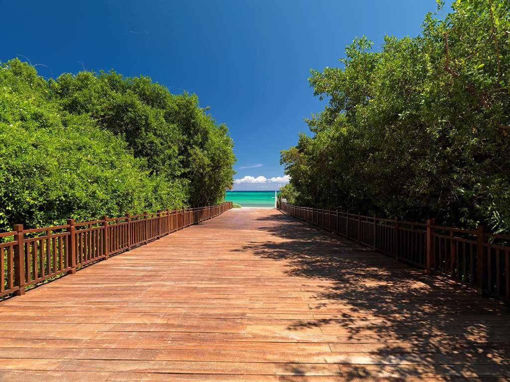 The Reserve Paradisus Playa Del Carmen (Adults Only) الطبيعة الصورة